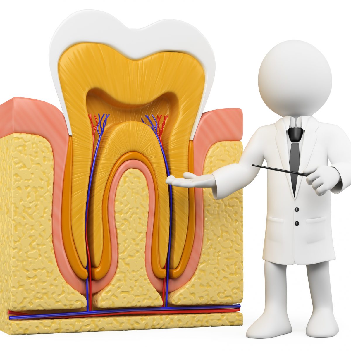 Three Things To Know About Root Canals Sachem Dental Group